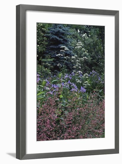 Garden View-Anna Miller-Framed Photographic Print