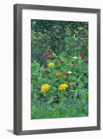 Garden views, Indianapolis gardens, Indiana, USA-Anna Miller-Framed Photographic Print