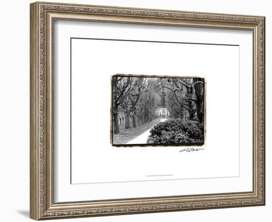 Garden Walk-Laura Denardo-Framed Art Print