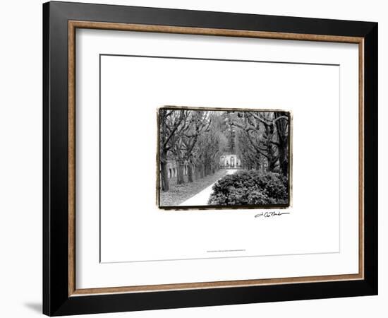 Garden Walk-Laura Denardo-Framed Art Print