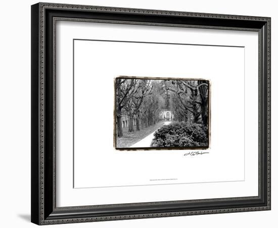 Garden Walk-Laura Denardo-Framed Art Print