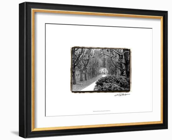 Garden Walk-Laura Denardo-Framed Art Print