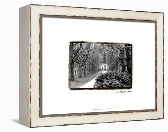 Garden Walk-Laura Denardo-Framed Stretched Canvas