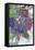 Garden Wild Things II-Samuel Dixon-Framed Stretched Canvas