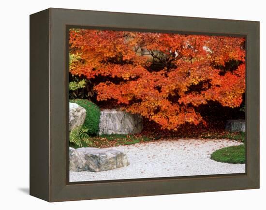 Garden with Autumn Leaves at Tenjuan, Nanzen-Ji Temple, Kyoto, Japan-null-Framed Premier Image Canvas