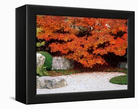 Garden with Autumn Leaves at Tenjuan, Nanzen-Ji Temple, Kyoto, Japan-null-Framed Premier Image Canvas