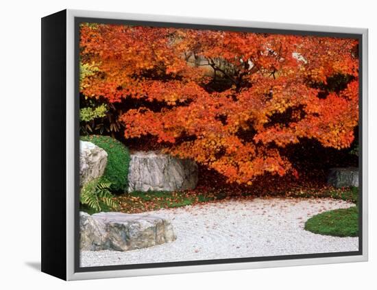 Garden with Autumn Leaves at Tenjuan, Nanzen-Ji Temple, Kyoto, Japan-null-Framed Premier Image Canvas