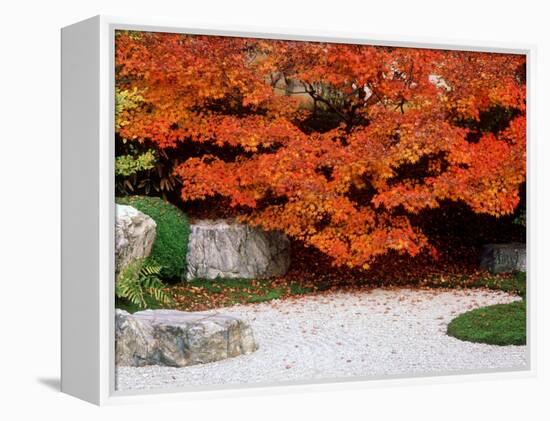 Garden with Autumn Leaves at Tenjuan, Nanzen-Ji Temple, Kyoto, Japan-null-Framed Premier Image Canvas