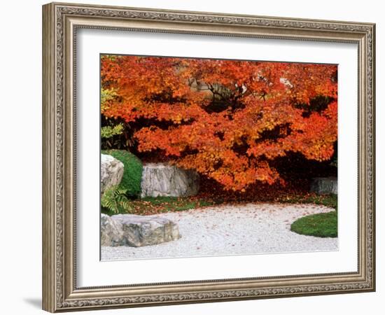 Garden with Autumn Leaves at Tenjuan, Nanzen-Ji Temple, Kyoto, Japan-null-Framed Photographic Print