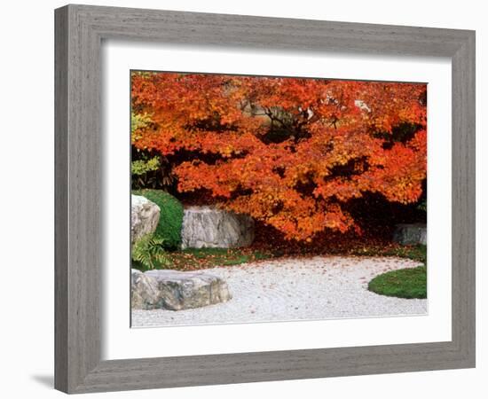 Garden with Autumn Leaves at Tenjuan, Nanzen-Ji Temple, Kyoto, Japan-null-Framed Photographic Print