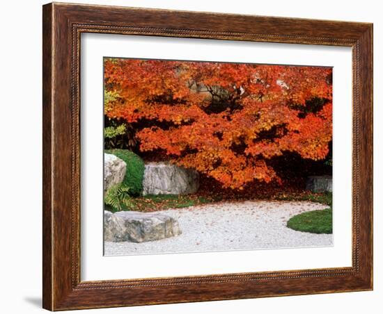 Garden with Autumn Leaves at Tenjuan, Nanzen-Ji Temple, Kyoto, Japan-null-Framed Photographic Print