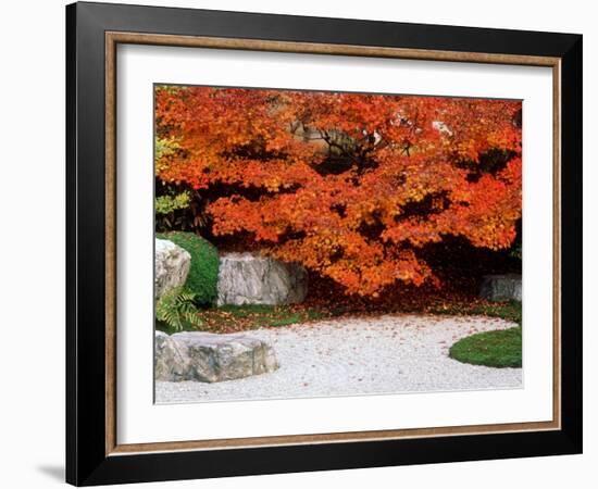 Garden with Autumn Leaves at Tenjuan, Nanzen-Ji Temple, Kyoto, Japan-null-Framed Photographic Print