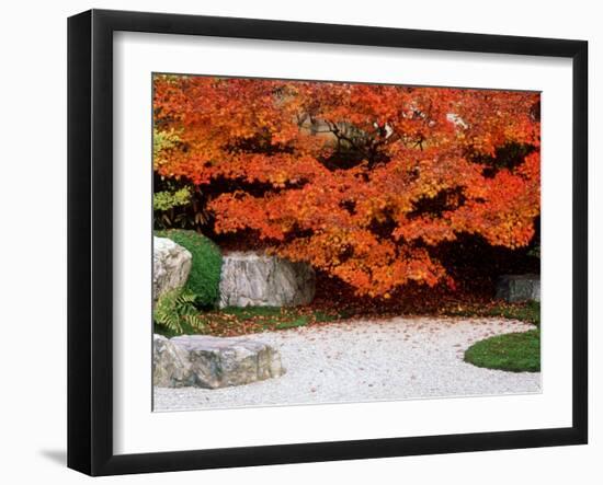 Garden with Autumn Leaves at Tenjuan, Nanzen-Ji Temple, Kyoto, Japan-null-Framed Photographic Print