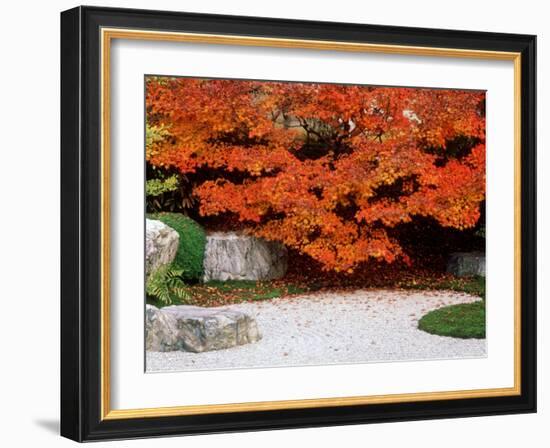 Garden with Autumn Leaves at Tenjuan, Nanzen-Ji Temple, Kyoto, Japan-null-Framed Photographic Print