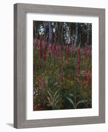 Garden with Foxgloves-Eug?ne Boudin-Framed Giclee Print