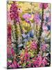 Garden with Foxgloves-Christopher Ryland-Mounted Premium Giclee Print