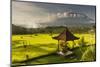 Garden with Pavilion and Rice Field of the Great Mountain Views Resort with the Volcano-Christoph Mohr-Mounted Photographic Print