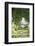 Garden, Wooden Door, Overgrown-Fact-Framed Photographic Print