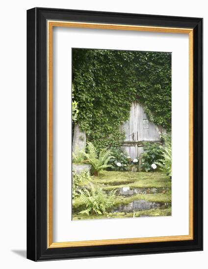 Garden, Wooden Door, Overgrown-Fact-Framed Photographic Print