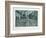 Garden-Tighe O'Donoghue-Framed Collectable Print