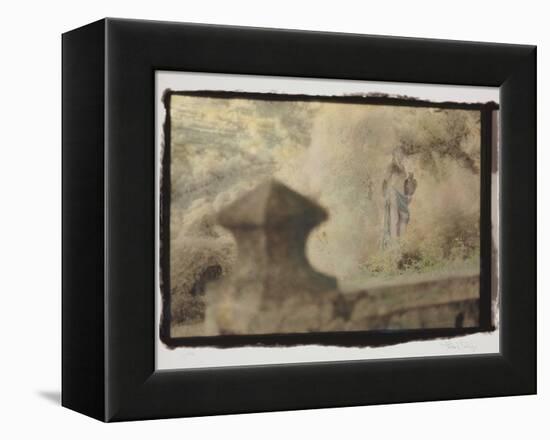 Garden-Theo Westenberger-Framed Premier Image Canvas