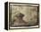 Garden-Theo Westenberger-Framed Premier Image Canvas