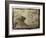 Garden-Theo Westenberger-Framed Photographic Print