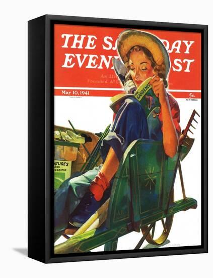 "Gardener in Wheelbarrow," Saturday Evening Post Cover, May 10, 1941-Dominice Cammerota-Framed Premier Image Canvas