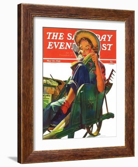 "Gardener in Wheelbarrow," Saturday Evening Post Cover, May 10, 1941-Dominice Cammerota-Framed Giclee Print