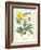 Gardener's Delight III-Sydenham Teast Edwards-Framed Art Print