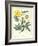 Gardener's Delight III-Sydenham Teast Edwards-Framed Art Print