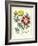 Gardener's Delight VII-Sydenham Teast Edwards-Framed Art Print