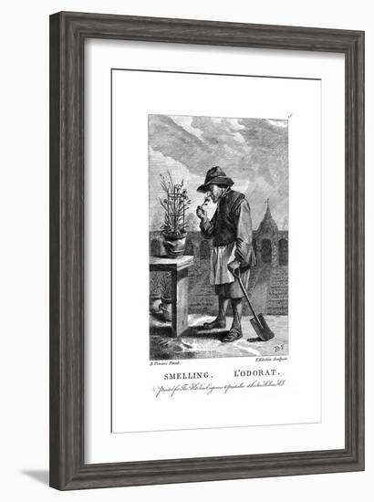 Gardener Smelling a Carnation or Pink (Dianthu), C1750-Thomas Kitchin-Framed Giclee Print
