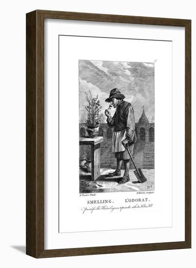 Gardener Smelling a Carnation or Pink (Dianthu), C1750-Thomas Kitchin-Framed Giclee Print