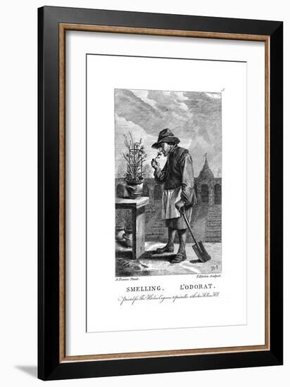 Gardener Smelling a Carnation or Pink (Dianthu), C1750-Thomas Kitchin-Framed Giclee Print