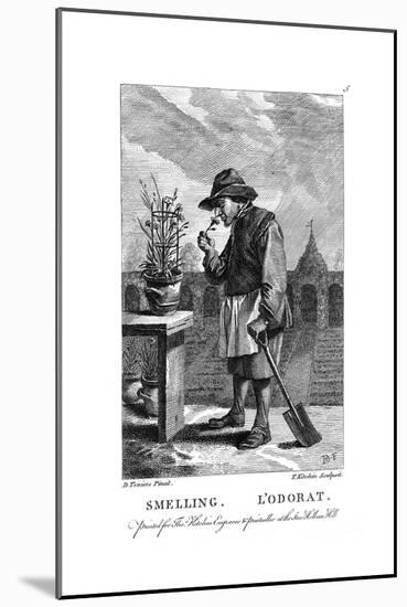 Gardener Smelling a Carnation or Pink (Dianthu), C1750-Thomas Kitchin-Mounted Giclee Print