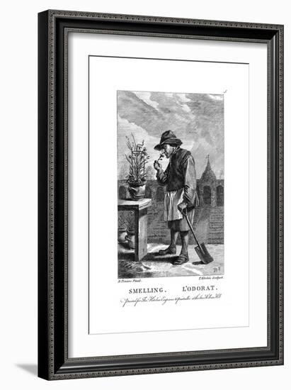 Gardener Smelling a Carnation or Pink (Dianthu), C1750-Thomas Kitchin-Framed Giclee Print