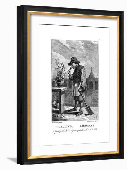 Gardener Smelling a Carnation or Pink (Dianthu), C1750-Thomas Kitchin-Framed Giclee Print