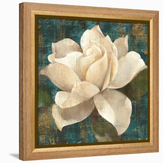 Gardenia Blossom Turquoise-Albena Hristova-Framed Stretched Canvas