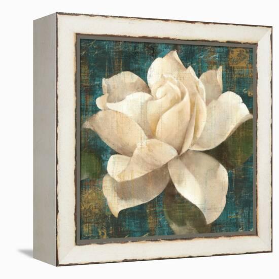 Gardenia Blossom Turquoise-Albena Hristova-Framed Stretched Canvas