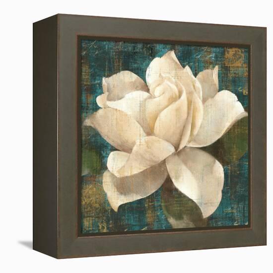 Gardenia Blossom Turquoise-Albena Hristova-Framed Stretched Canvas