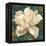 Gardenia Blossom Turquoise-Albena Hristova-Framed Stretched Canvas