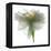 Gardenia Float-Julia McLemore-Framed Premier Image Canvas