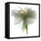 Gardenia Float-Julia McLemore-Framed Premier Image Canvas