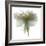 Gardenia Float-Julia McLemore-Framed Photographic Print