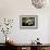 Gardenia Flower Field-Vivienne Dupont-Framed Premium Giclee Print displayed on a wall
