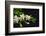 Gardenia Flower on Black-crystalfoto-Framed Photographic Print