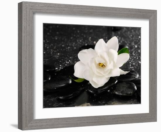 Gardenia Flower-crystalfoto-Framed Photographic Print