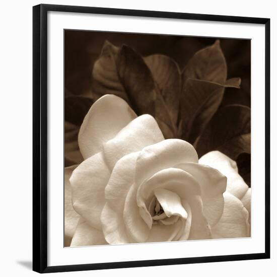 Gardenia Garden-Rebecca Swanson-Framed Art Print