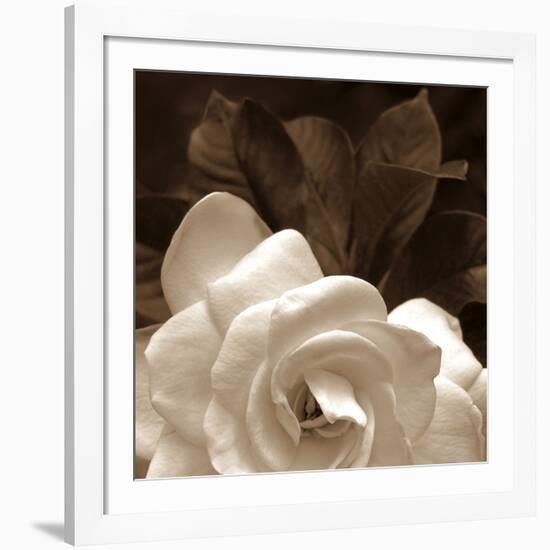 Gardenia Garden-Rebecca Swanson-Framed Art Print